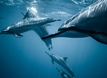 万博体育：用热情点亮你的体育新世界