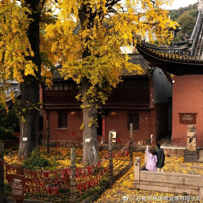 赔率更新-2025中国山地自行车公开赛（常州·横山桥站）报名倒计时1天